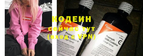индика Горно-Алтайск