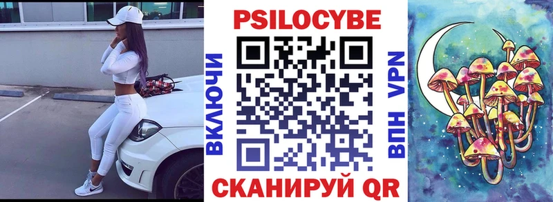 Купить Качканар Галлюциногенные грибы Psilocybine cubensis